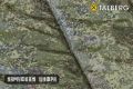Cпальный мешок Forester -20, принт цифра, Talberg